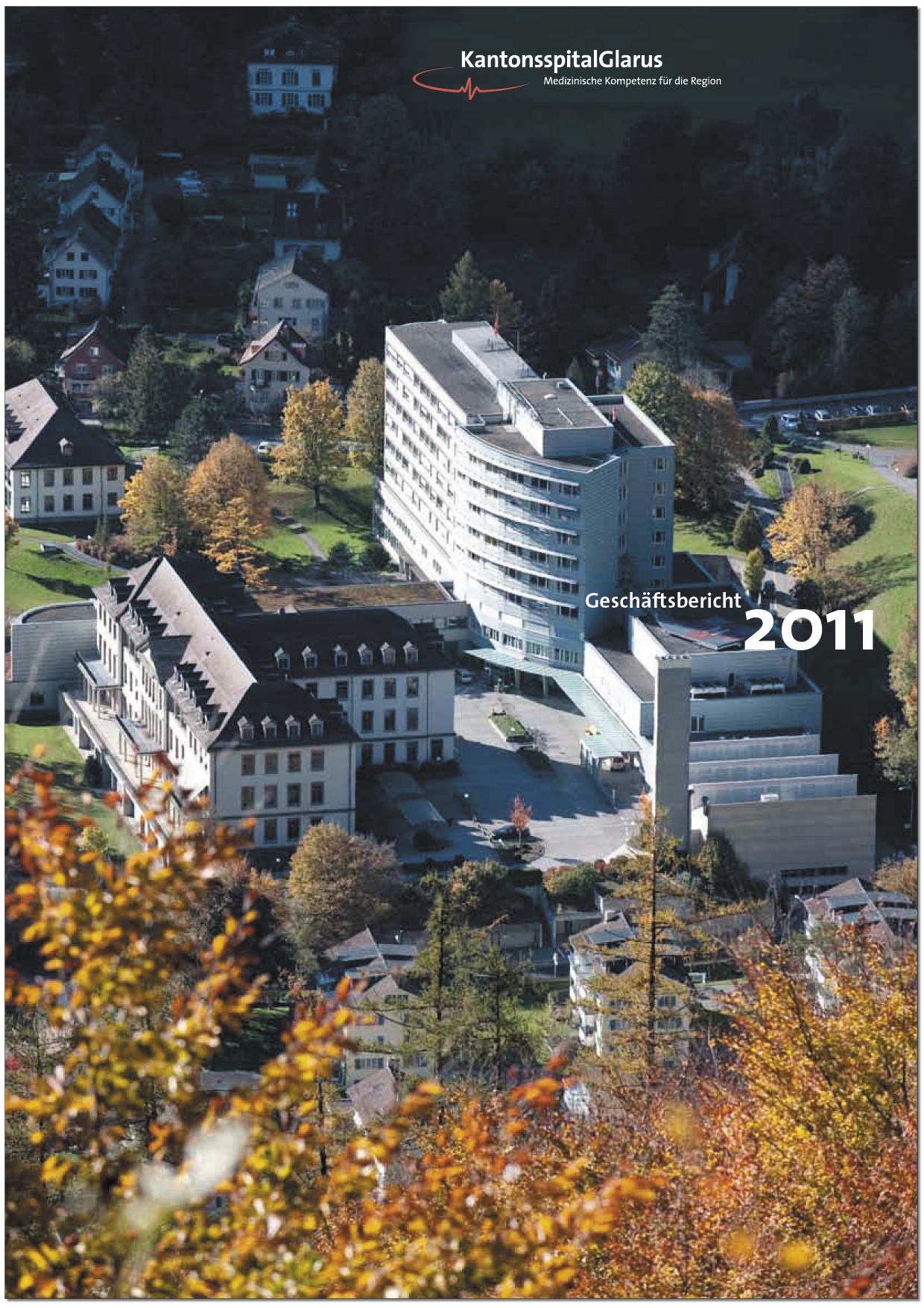 Geschäftsbericht 2011